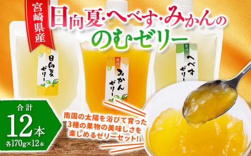 ＜宮崎県産 日向夏・へべす・みかんの のむゼリー各170g 合計12本＞
