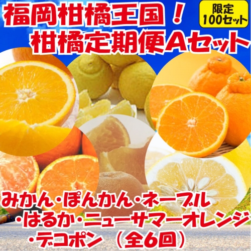 FF003.福岡柑橘王国！柑橘定期便Aセット