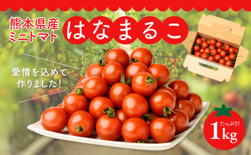 熊本県産 ミニトマト はなまるこ 1kg 野菜 旬 熊本 とまと 883540 - 熊本県八代市