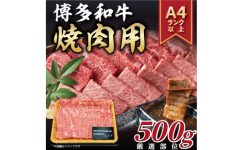 2023年7月発送開始『定期便』博多和牛焼き肉用 500g(水巻町)全3回【5155000】