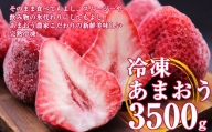 福岡県産 冷凍 いちご あまおう 3.5kg TY006-1