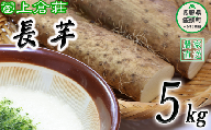 信州産 長芋 5kg 上倉荘 沖縄県への配送不可 2024年10月上旬頃から2024年11月下旬頃まで順次発送予定 信州 とろろ 長いも ながいも 山芋 芋 いも 野菜 20000円 長野県 飯綱町 [1100]