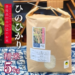 【ふるさと納税】0B4-05 豊後高田市田染のお米「ひのひかり」5kg