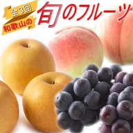 【全3回定期便】和歌山の旬のフルーツ定期便！人気の桃・ピオーネ・梨をお届け♪