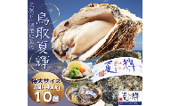 1307 天然岩牡蠣(活)夏輝 350g-450g前後(特大サイズ) 10個セット(いまる)