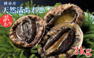 種市産天然活あわび(訳あり) 24～33個程度(約3kg) お刺身 鮑 ステーキ 産地直送 冷蔵