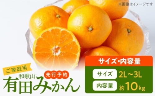 AT6314_【2025年先行予約】ご家庭用　和歌山有田みかん 約10kg (2L、3Lサイズ)【湯浅町】 885442 - 和歌山県湯浅町