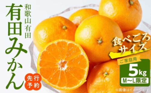 AT6304_【2025年先行予約】ご家庭用　有田みかん 約5kg (M、Lサイズ)【湯浅町】 885447 - 和歌山県湯浅町