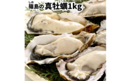 特上・篠島の殻付き真牡蠣1kgセット(生食用かき・CAS冷凍カキ)海鮮バーベキューBBQ、浜焼きに