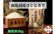 【のし付き】【令和6年産 新米】【高級】南魚沼産こしひかり無洗米（5kg）新潟県 特A地区の美味しいお米。
