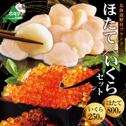 〇野付産のほたては『甘さ』と『旨味』が特徴!! とにかく肉厚で濃厚な味わいの野付沖天然ホタテには、旨みの素になるグリコーゲンがたっぷりつまっています。 首都圏のお寿司屋さんや高級レストランでも一級品の