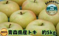 【青森県産りんご】贈答用トキ 約5kg