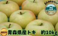 【青森県産りんご】贈答用トキ 約10kg
