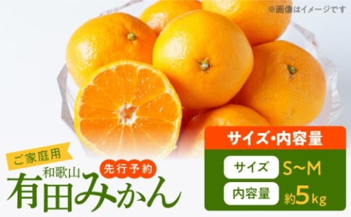 AT6321_【2025年先行予約】ご家庭用　有田みかん 約5kg (S、Mサイズ)【湯浅町】 885526 - 和歌山県湯浅町