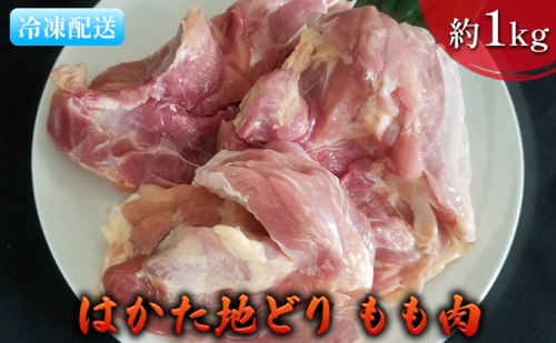 鶏肉 もも肉 約1kg はかた地どり 885668 - 福岡県朝倉市