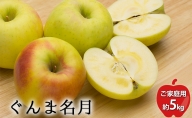 ＜2021年10月中旬頃お届け＞北海道壮瞥産りんご ぐんま名月 約5kg（14～20玉）【ご家庭用】