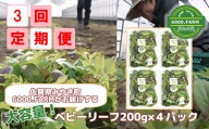FV006_【3回定期便】大容量ベビーリーフ200ｇ×４セット 有機JAS認証取得　新鮮野菜　産地直送