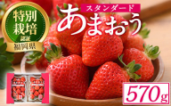 ＜予約受付中！2024年12月中旬より順次発送予定＞うるう農園のスタンダードあまおう(計570g・285g×2P)  苺 いちご イチゴ 果物 フルーツ 国産 福岡県 ヨーグルト ジャム スムージー 冷蔵 特別栽培＜離島配送不可＞【ksg1218】【うるう農園】