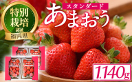 ＜予約受付中！2024年12月中旬より順次発送予定＞うるう農園のスタンダードあまおう(計1.14kg・285g×4P) ふるさと納税 春日市 特産品 苺 いちご イチゴ 果物 フルーツ 国産 福岡県 ヨーグルト ジャム スムージー 冷蔵 特別栽培＜離島配送不可＞【ksg1219】【うるう農園】