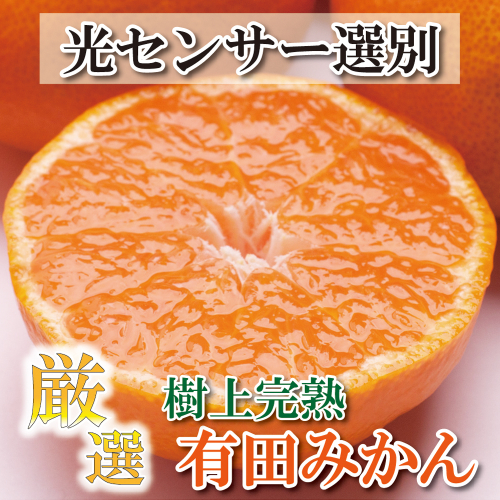 厳選 完熟有田みかん7.5kg+225g(傷み補償分)【光センサー選別】<11月上旬より順次発送予定>【ikd020B】 886716 - 和歌山県新宮市