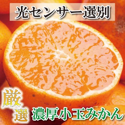 厳選　小玉な有田みかん7.5kg+225g（傷み補償分）【光センサー選果】＜11月上旬より順次発送予定＞【ikd023-2B】 886719 - 和歌山県新宮市