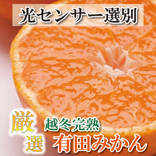 厳選　越冬完熟みかん5kg+150g（傷み補償分）【ハウスみかん】【光センサー選別】＜1月中旬より順次発送予定＞【ikd026B】 886721 - 和歌山県新宮市