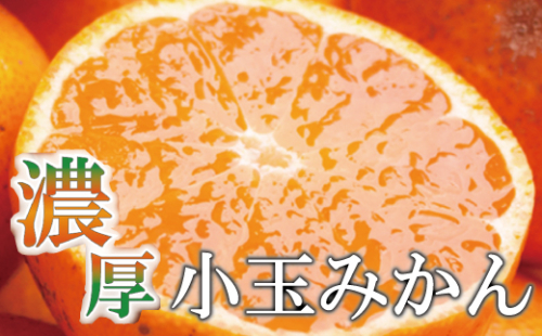 家庭用　小玉な有田みかん7.5kg+225g（傷み補償分）【わけあり・訳あり】【光センサー選果】＜11月上旬より順次発送予定＞【ikd118B】 886736 - 和歌山県新宮市