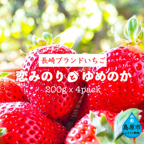 AE133【期間限定】野菜ソムリエselection 特選いちご「恋みのり」「ゆめのか」（2Lサイズ・各2パック） 88682 - 長崎県島原市