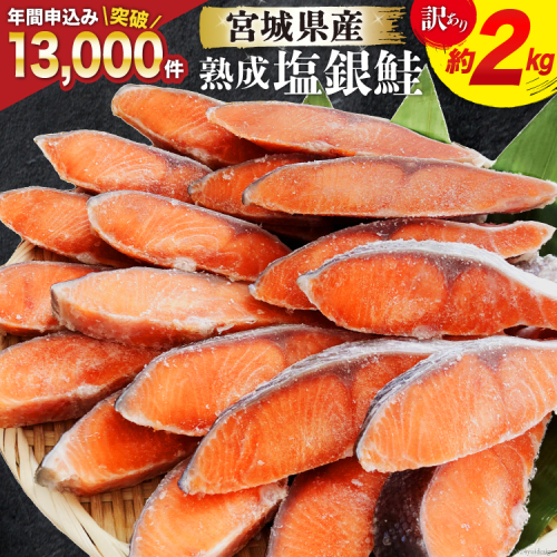 訳あり 宮城県産 熟成 銀鮭 切身 約2kg [宮城東洋 宮城県 気仙沼市 20563343] 鮭 海鮮 魚介類 国産 さけ 鮭 甘口 サケ 鮭切身 シャケ 切り身 冷凍 おかず 弁当 支援 事業者支援 サーモン 魚 銀鮭切り身 886863 - 宮城県気仙沼市
