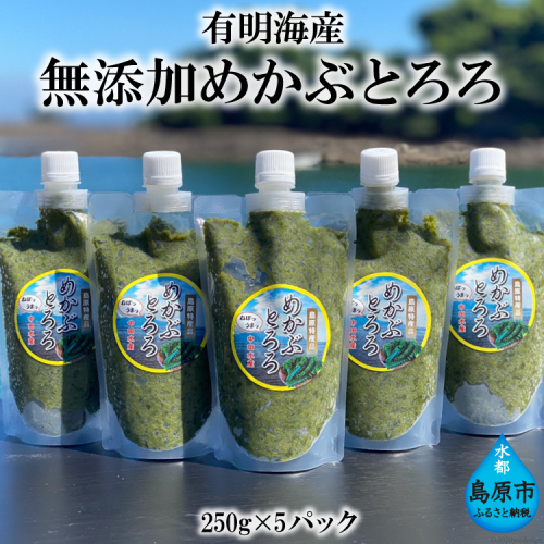 AE140 有明海産 無添加めかぶとろろ（250g×5パック） 88691 - 長崎県島原市