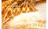 [C-05]神石高原産コシヒカリ（玄米）