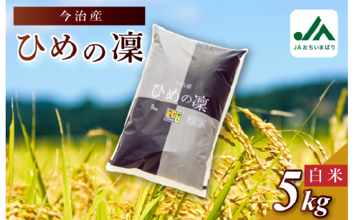 【令和6年産】今治産 米（ひめの凜）5kg【VB01580】米 お米 コメ おこめ 白米 精米 ごはん ご飯 ひめの凜 愛媛県産 今治産