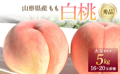 《先行予約 令和6年8月上旬発送》 山形県産 白桃 秀品 5kg  もも モモ 桃 デザート フルーツ 果物 くだもの 果実 食品 山形県 FSY-0577