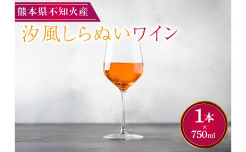 巨峰 ワイン 汐風しらぬいワイン 750ml×1本 果実酒 お酒 アルコール 9度