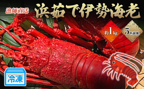 漁師直送　冷凍浜茹で伊勢海老1キロ　 伊勢エビ 冷凍 88831 - 静岡県河津町