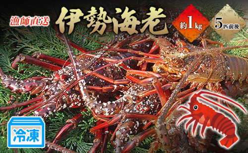 冷凍伊勢海老1kg 伊勢エビ 冷凍 漁師直送 88832 - 静岡県河津町
