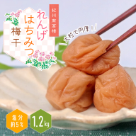 やみつきのシャキシャキ食感】ちんげん菜キムチ 2袋セット [UDD005