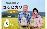 特別栽培米 コシヒカリ 玄米 5kg×1 [農家にしの 石川県 宝達志水町 38600597] 米 お米 ご飯 ごはん