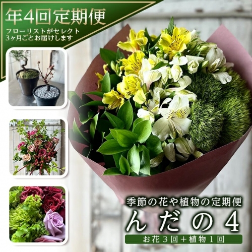 SL0143　【4回定期便】「季節の花や植物の定期便 んだの４」 888666 - 山形県酒田市