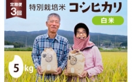 定期便 特別栽培米 コシヒカリ 白米 5kg×1×3回 総計15kg [農家にしの 石川県 宝達志水町 38600636] 米 お米 ご飯 ごはん