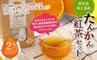 【徳之島産】 たんかん紅茶 2パックセット (4g×5包)×2パック タンカン 紅茶 ティーパックC-14-N