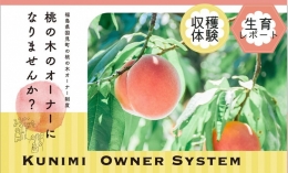 1本の桃の木を複数人でシェアする桃の木オーナー制度を実施しています。 あらかじめ申し込みを行いオーナーになることで、桃を受け取るだけではなく、生育過程を知れたり、農業体験などに参加することができます。