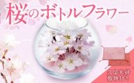 桜のボトルフラワー（久留米絣敷物付き）