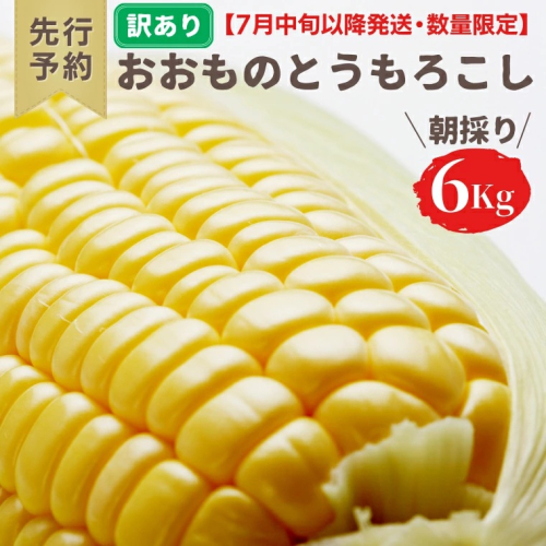 【先行予約 2026年7月中旬以降発送 】【 令和8年産 】【 訳あり 】 八千代町産 農家直送 朝採り とうもろこし おおもの 6kg トウモロコシ スイートコーン 産地直送 規格外  不揃い 傷 [AX031ya][SZRY] 889058 - 茨城県八千代町