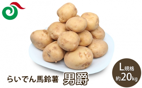 らいでん馬鈴薯男爵L規格約20kg 889096 - 北海道共和町