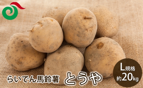 らいでん馬鈴薯とうやL規格約20kg 889097 - 北海道共和町