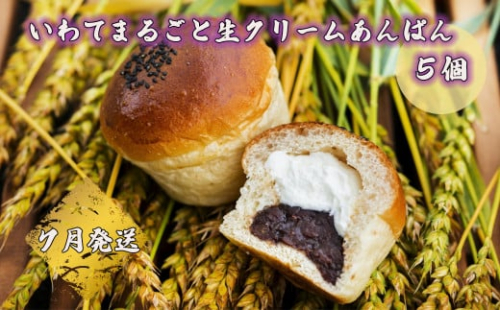 岩手まるごと生クリームあんぱん　5個入り≪7月発送予定≫ 【357-7N】