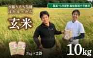 玄米 10kg  新米 精米可 白米 山口 県産 うるち 有機栽培 栽培期間中 農薬 化学肥料 不使用  はたはったん 下関 秋 季節