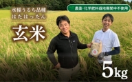 玄米 5kg  新米 精米可 白米 山口 県産 うるち 有機栽培 栽培期間中 農薬 化学肥料 不使用  はたはったん 下関 秋 季節