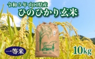 [令和5年]令和5年収穫 山口県産ひのひかり 玄米 10kg×1箱